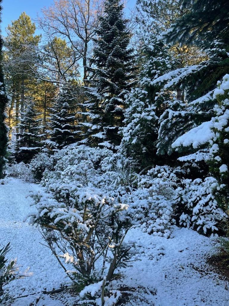 Ferienwohnungen Schleich Nassereith Bagian luar foto