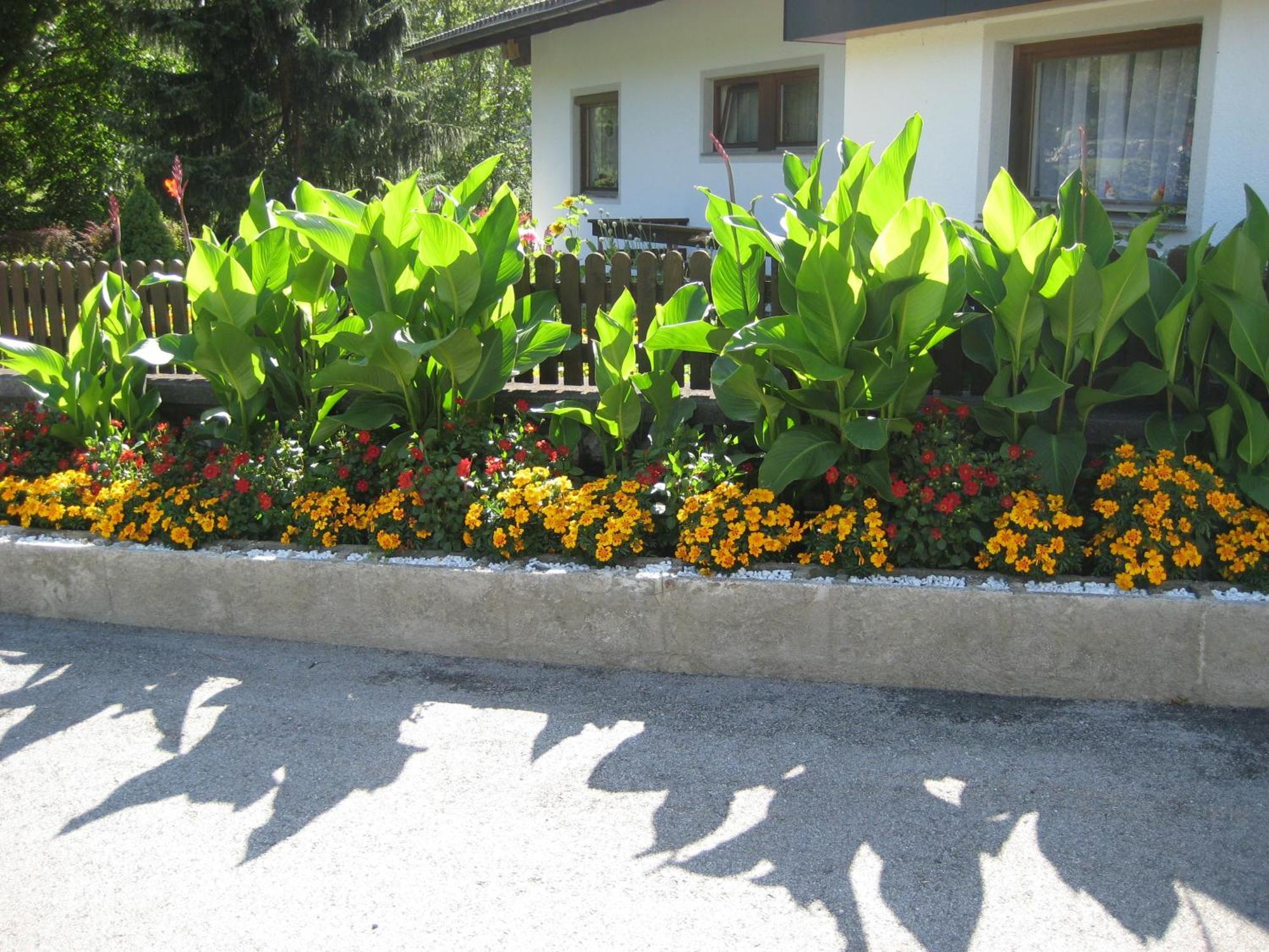 Ferienwohnungen Schleich Nassereith Bagian luar foto